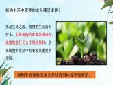 北师大版（2024）七年级生物上册3.4.3吸收作用ppt精品课件
