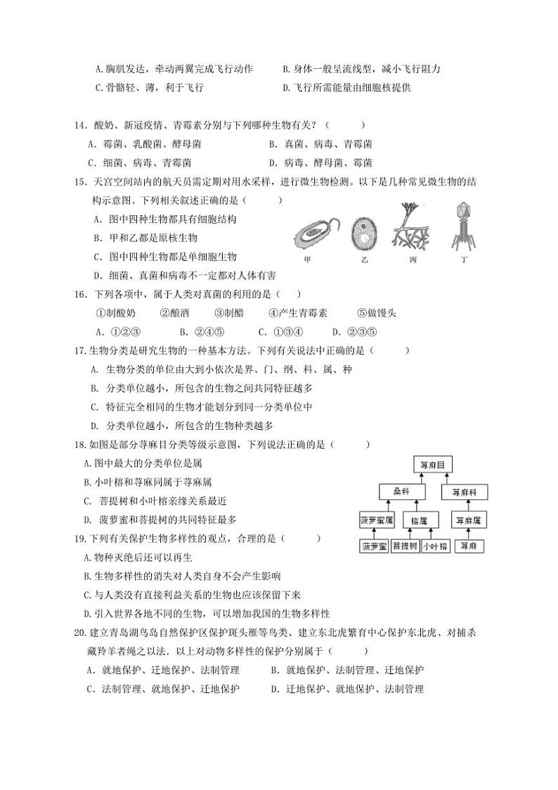 2024～2025学年江苏省盐城市东台市第一教育联盟七年级(上)12月月考生物试卷(含答案)第3页