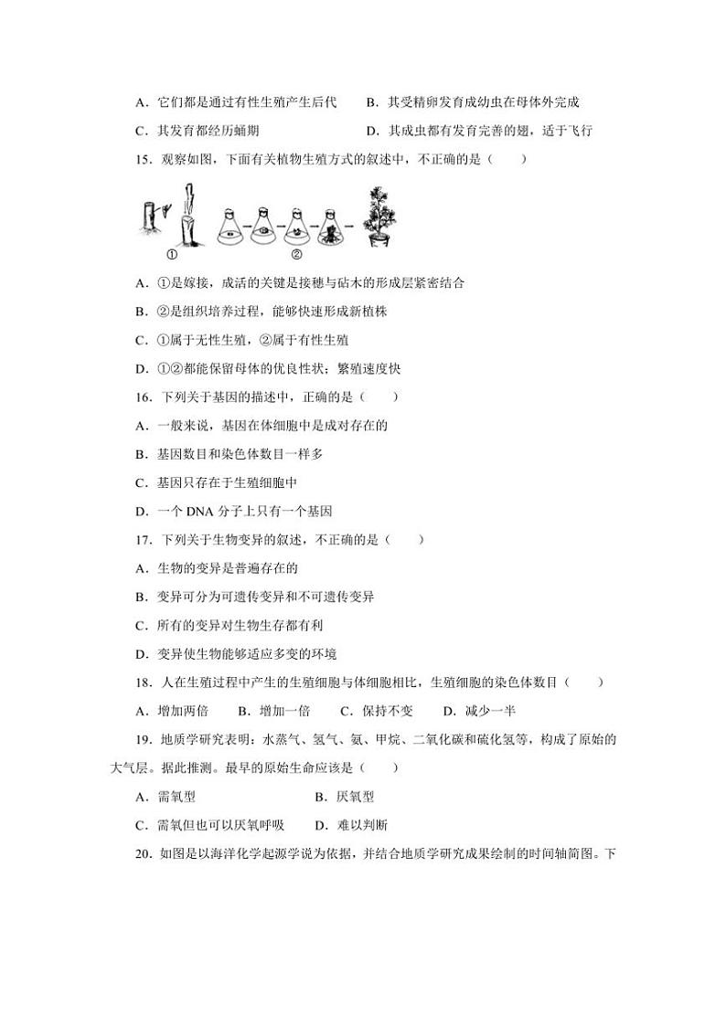 2024～2025学年河南省商丘市夏邑县第二初级中学教育集团八年级(上)12月月考生物试卷(含答案)第3页