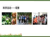 北师大版（2024）七年级生物上册1.1.2生物学是研究生命的科学课件