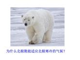 北师大版（2024）七年级生物上册1.1.2生物学是研究生命的科学课件