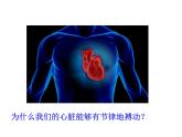 北师大版（2024）七年级生物上册1.1.2生物学是研究生命的科学课件