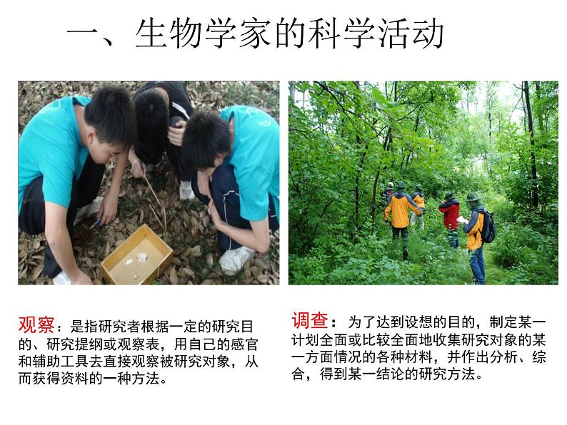 北师大版（2024）七年级生物上册1.1.2生物学是研究生命的科学课件第5页