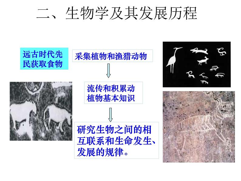 北师大版（2024）七年级生物上册1.1.2生物学是研究生命的科学课件第8页