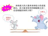 北師大版（2024）七年級(jí)生物上冊(cè)2.3.1細(xì)胞通過(guò)分裂而增殖課件