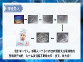 北師大版（2024）七年級(jí)生物上冊(cè)2.3.1細(xì)胞通過(guò)分裂而增殖課件