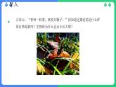 北師大版（2024）七年級(jí)生物上冊(cè)2.3.1細(xì)胞通過(guò)分裂而增殖課件