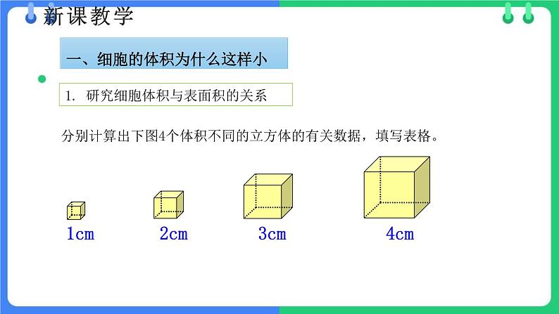 北师大版（2024）七年级生物上册2.3.1细胞通过分裂而增殖课件第5页