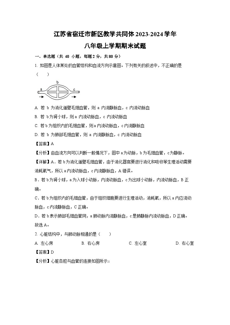 江苏省宿迁市新区教学共同体2023-2024学年八年级(上)期末生物试卷(解析版)第1页