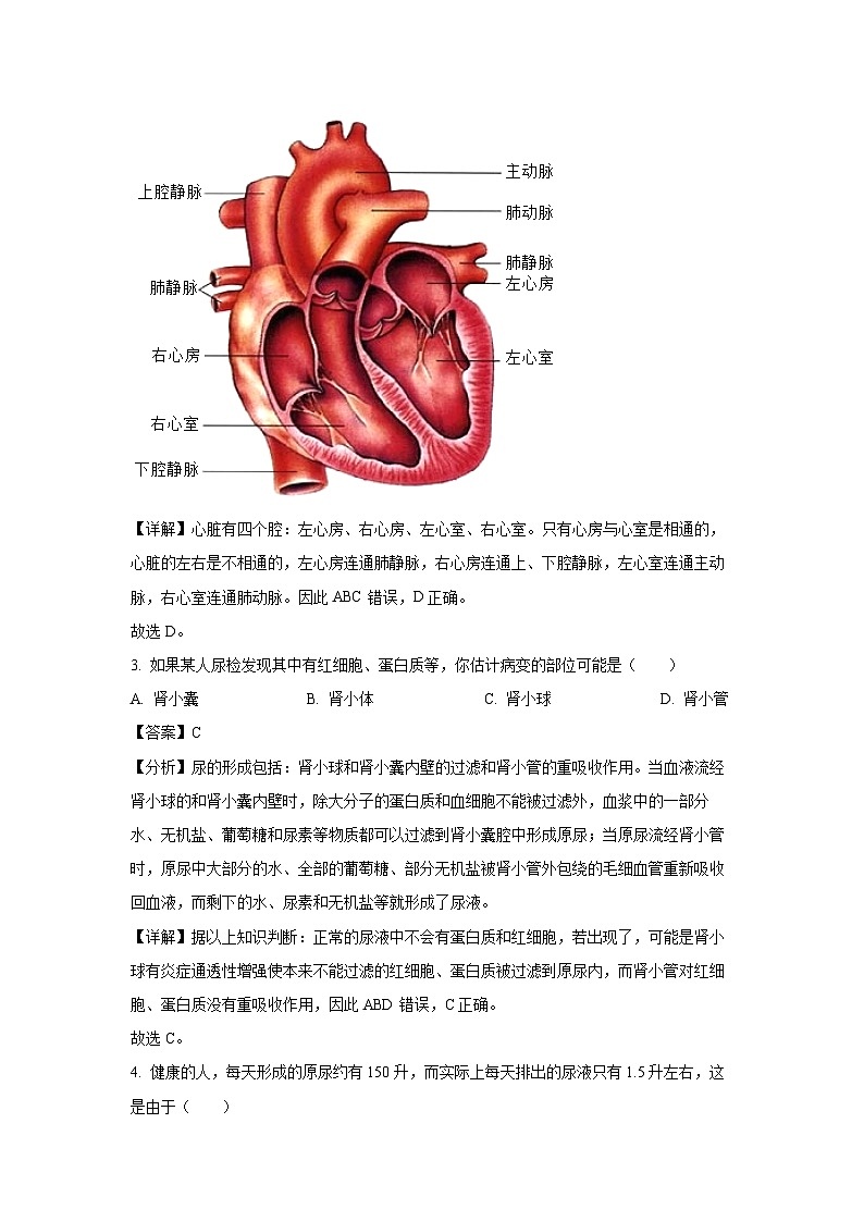 江苏省宿迁市新区教学共同体2023-2024学年八年级(上)期末生物试卷(解析版)第2页