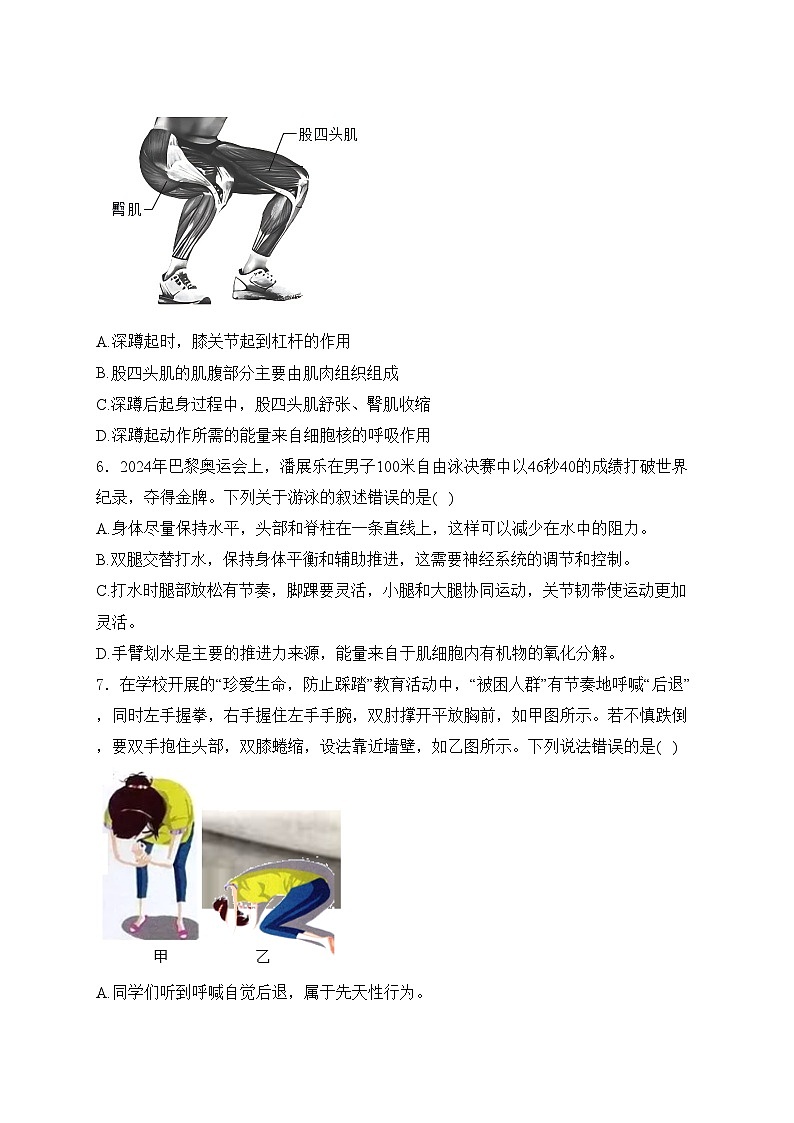 安徽省黄山市歙县2024-2025学年八年级上学期期中考试生物试卷(含答案)第2页