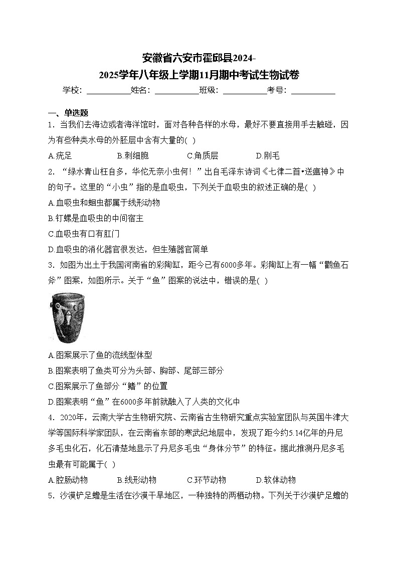 安徽省六安市霍邱县2024-2025学年八年级上学期11月期中考试生物试卷(含答案)第1页