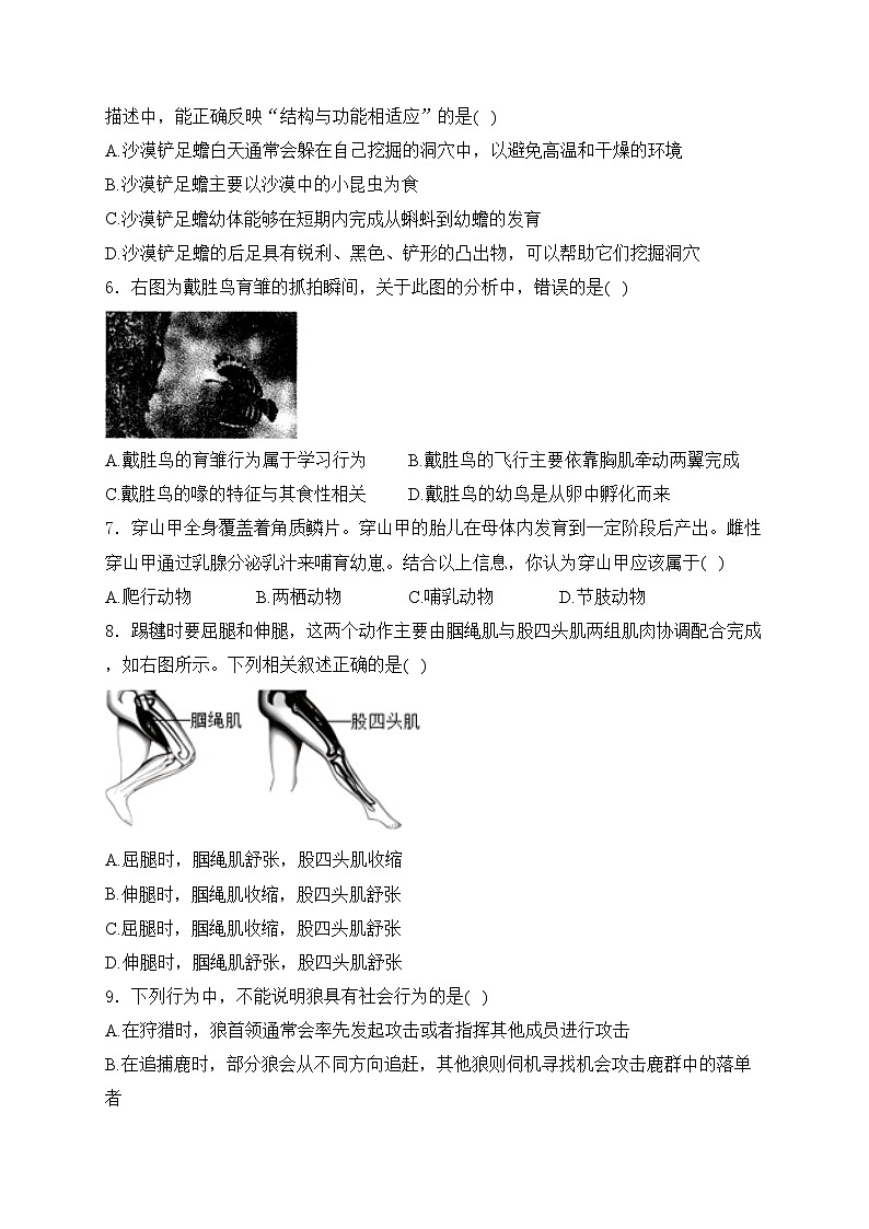 安徽省六安市霍邱县2024-2025学年八年级上学期11月期中考试生物试卷(含答案)第2页