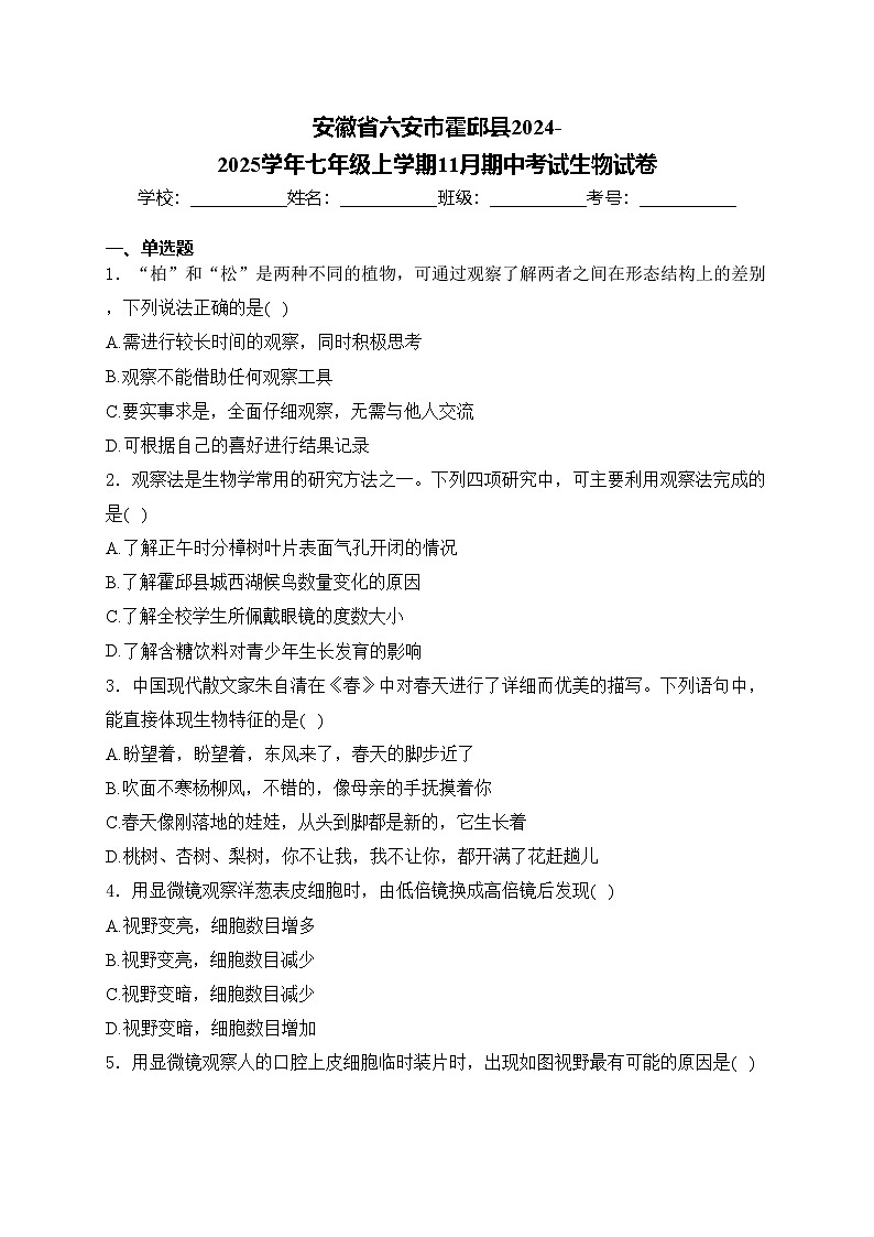 安徽省六安市霍邱县2024-2025学年七年级上学期11月期中考试生物试卷(含答案)第1页