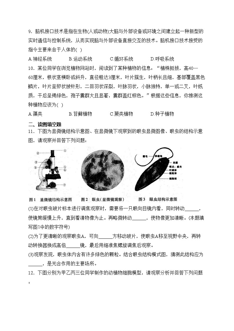 安徽省六安市霍邱县2024-2025学年七年级上学期11月期中考试生物试卷(含答案)第3页