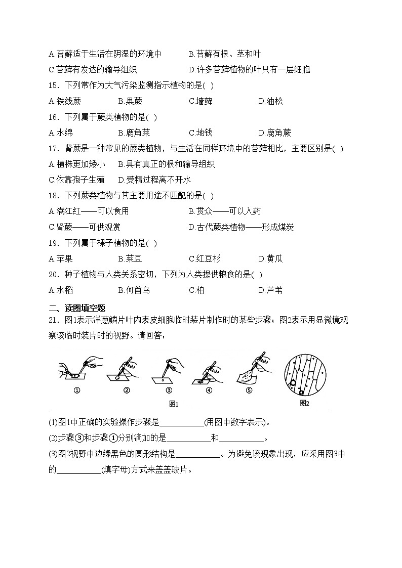 承德市鹰手营子矿区第一中学2024-2025学年七年级上学期第二次月考生物试卷(含答案)第3页
