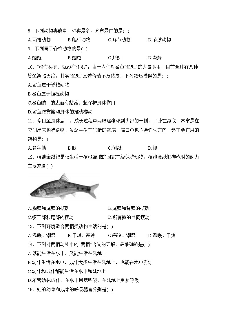 承德市鹰手营子矿区第一中学2024-2025学年七年级上学期第三次月考生物试卷(含答案)第2页