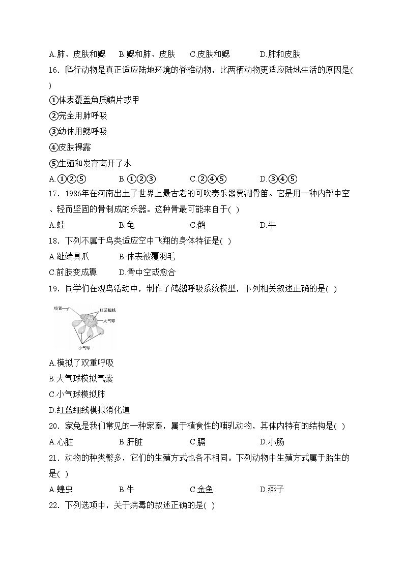 承德市鹰手营子矿区第一中学2024-2025学年七年级上学期第三次月考生物试卷(含答案)第3页
