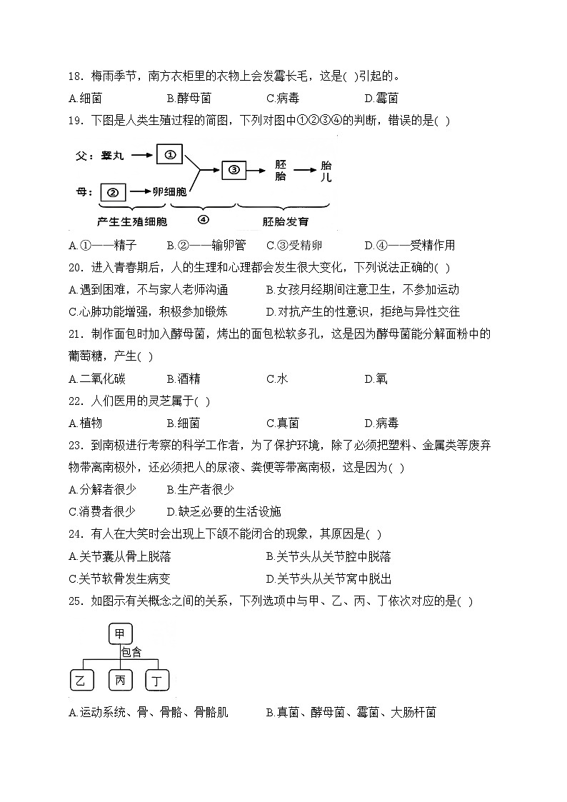 福建省龙岩市上杭县城区三校2024-2025学年八年级上学期期中考试生物试卷(含答案)第3页