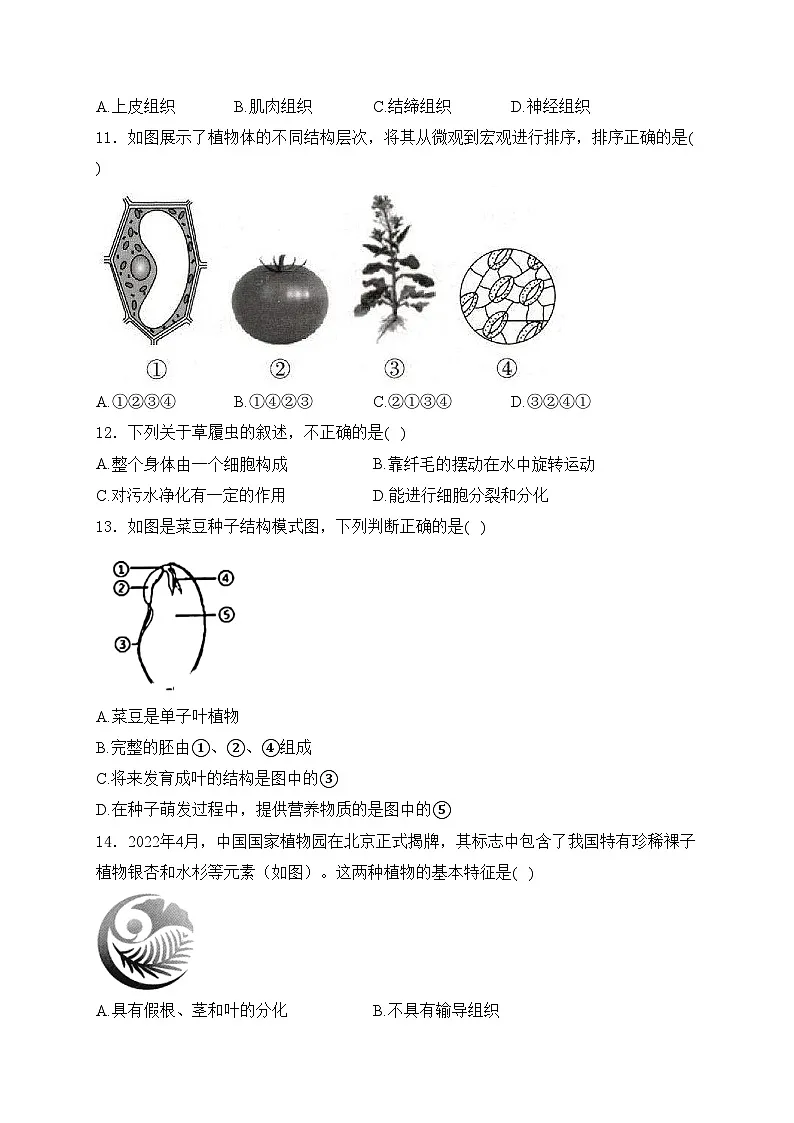 福建省三明市宁化县2023-2024学年七年级上学期期末考试生物试卷(含答案)第2页