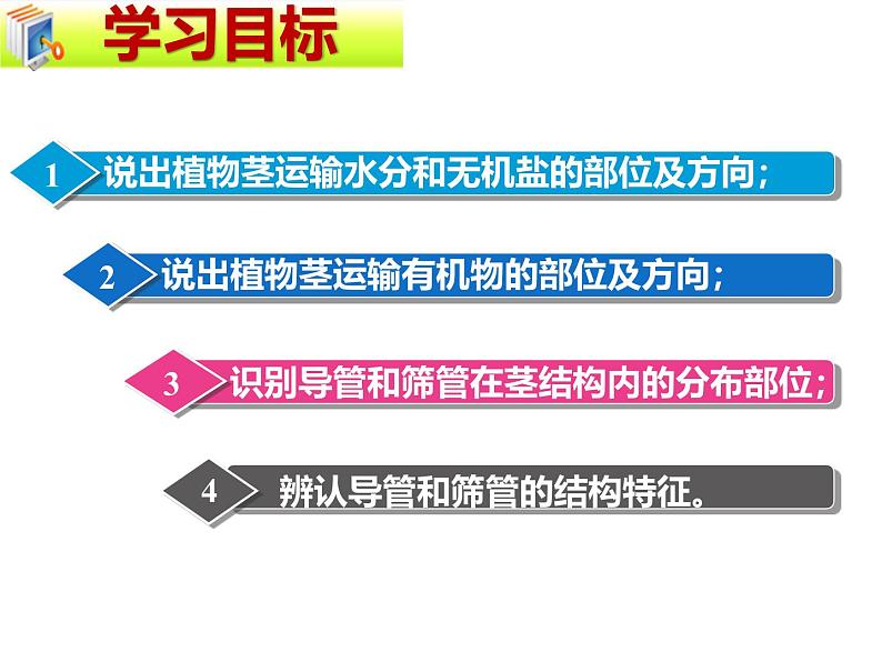 北师大版（2024）七年级生物上册3.4.4运输作用精品ppt课件第2页