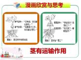 北师大版（2024）七年级生物上册3.4.4运输作用精品ppt课件