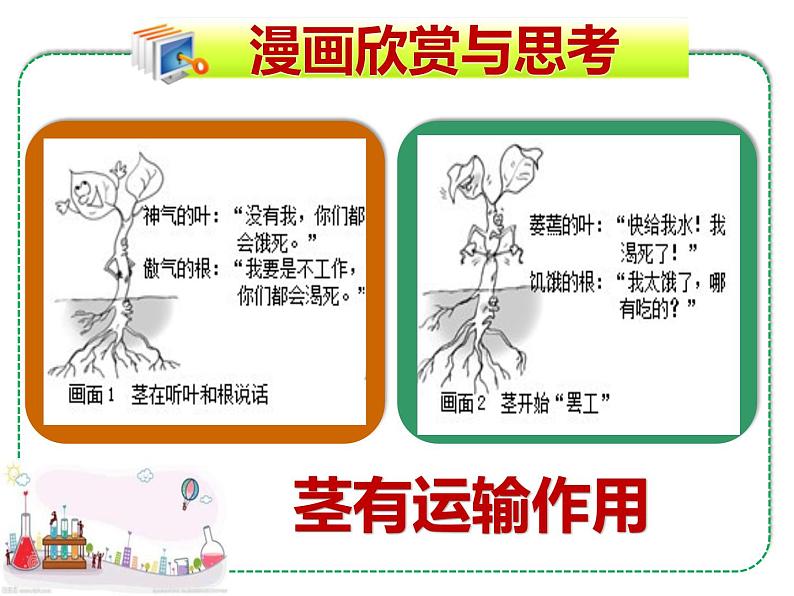 北师大版（2024）七年级生物上册3.4.4运输作用精品ppt课件第3页