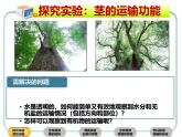北师大版（2024）七年级生物上册3.4.4运输作用精品ppt课件