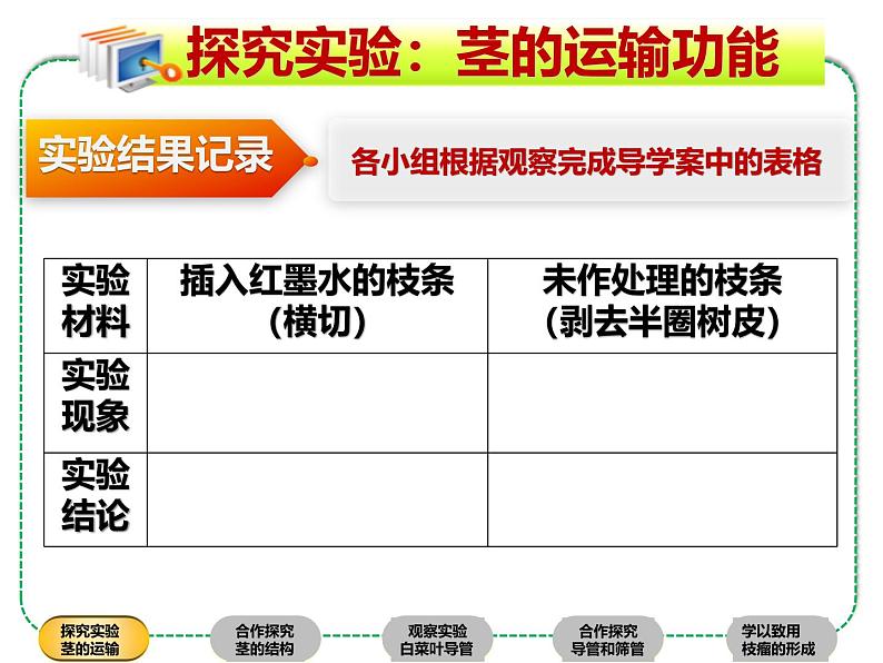 北师大版（2024）七年级生物上册3.4.4运输作用精品ppt课件第7页