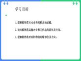 北师大版（2024）七年级生物上册3.4.4运输作用ppt课件