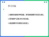 北师大版（2024）七年级生物上册3.4.5蒸腾作用课件