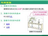 北师大版（2024）七年级生物上册3.4.5蒸腾作用精品ppt课件