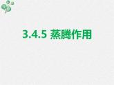 北师大版（2024）七年级生物上册3.4.5蒸腾作用ppt课件