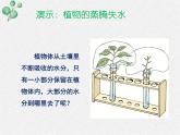 北师大版（2024）七年级生物上册3.4.5蒸腾作用ppt课件