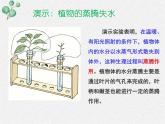 北师大版（2024）七年级生物上册3.4.5蒸腾作用ppt课件