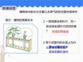 北师大版（2024）七年级生物上册3.4.5蒸腾作用ppt精品课件