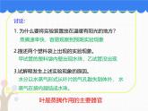 北师大版（2024）七年级生物上册3.4.5蒸腾作用ppt精品课件