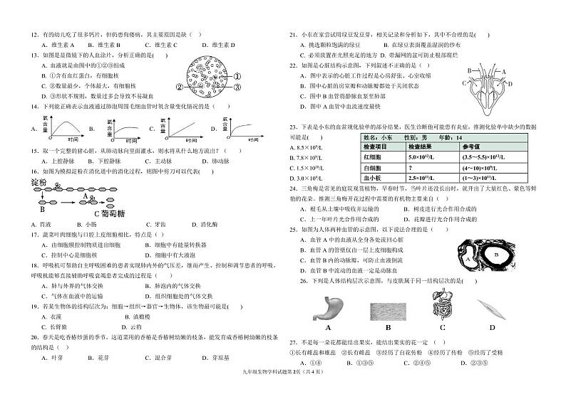 广东省揭阳真理中学2024-2025学年九年级上学期第二次月考生物试题第2页
