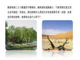 北师大版（2024）七年级生物上册3.4.6植物在生物圈中的作用课件