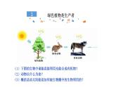 北师大版（2024）七年级生物上册3.4.6植物在生物圈中的作用课件