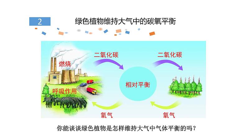 北师大版（2024）七年级生物上册3.4.6植物在生物圈中的作用课件第7页