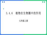 北师大版（2024）七年级生物上册3.4.6植物在生物圈中的作用精品课件