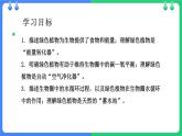 北师大版（2024）七年级生物上册3.4.6植物在生物圈中的作用精品课件