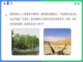 北师大版（2024）七年级生物上册3.4.6植物在生物圈中的作用精品课件