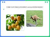 北师大版（2024）七年级生物上册3.4.6植物在生物圈中的作用精品课件