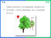 北师大版（2024）七年级生物上册3.4.6植物在生物圈中的作用精品课件