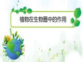北师大版（2024）七年级生物上册3.4.6植物在生物圈中的作用精品ppt课件