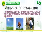 北师大版（2024）七年级生物上册3.4.6植物在生物圈中的作用精品ppt课件