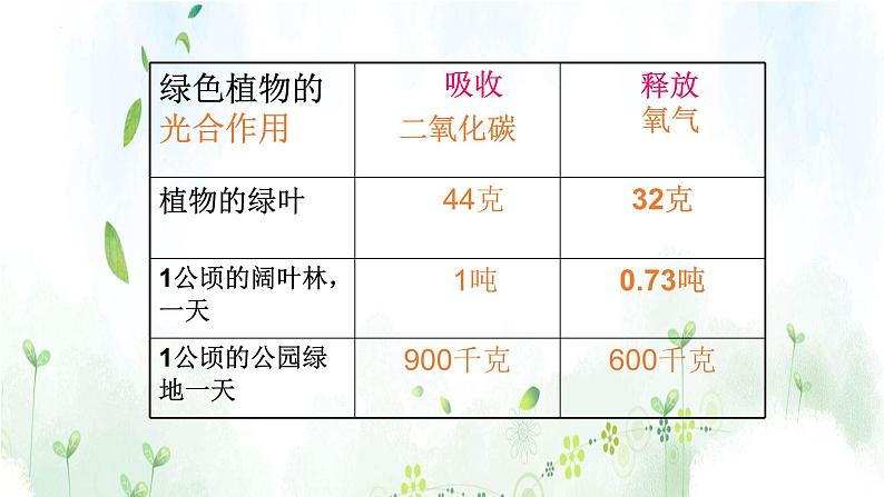 北师大版（2024）七年级生物上册3.4.6植物在生物圈中的作用精品ppt课件第8页