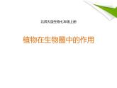 北师大版（2024）七年级生物上册3.4.6植物在生物圈中的作用ppt精品课件